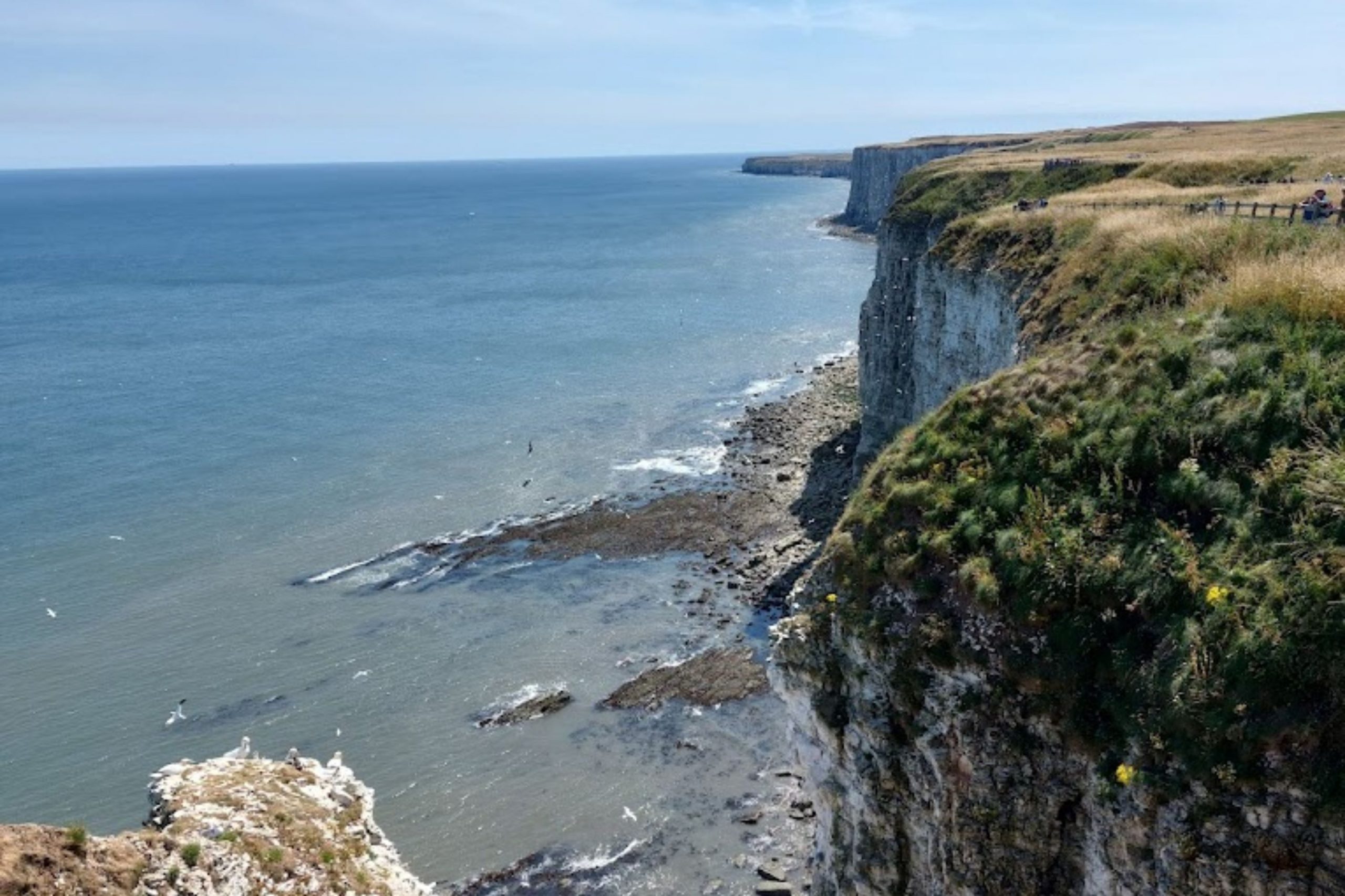Bempton